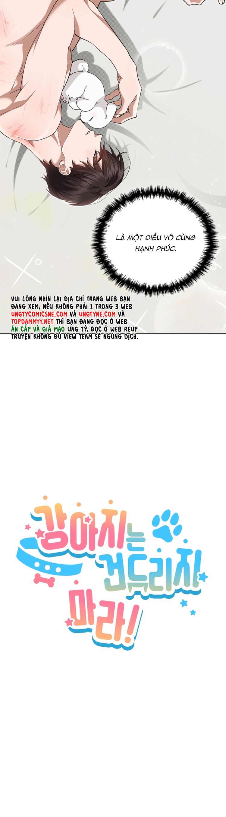 ĐỪNG CHẠM VÀO CÚN CON CỦA TÔI Chap 27 - Trang 4