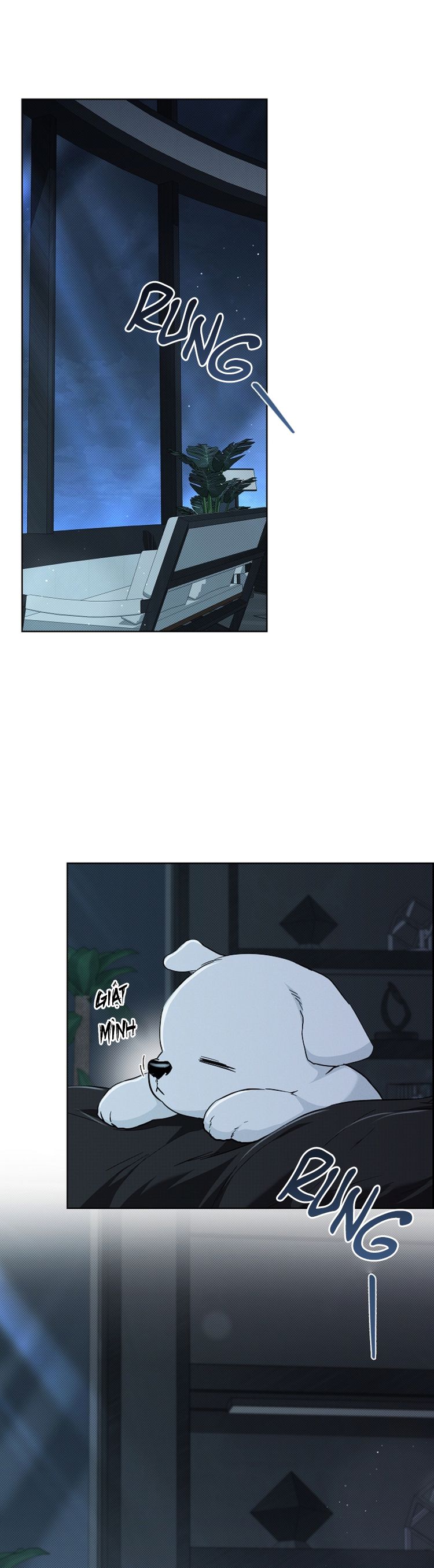 ĐỪNG CHẠM VÀO CÚN CON CỦA TÔI Chap 27 - Trang 4