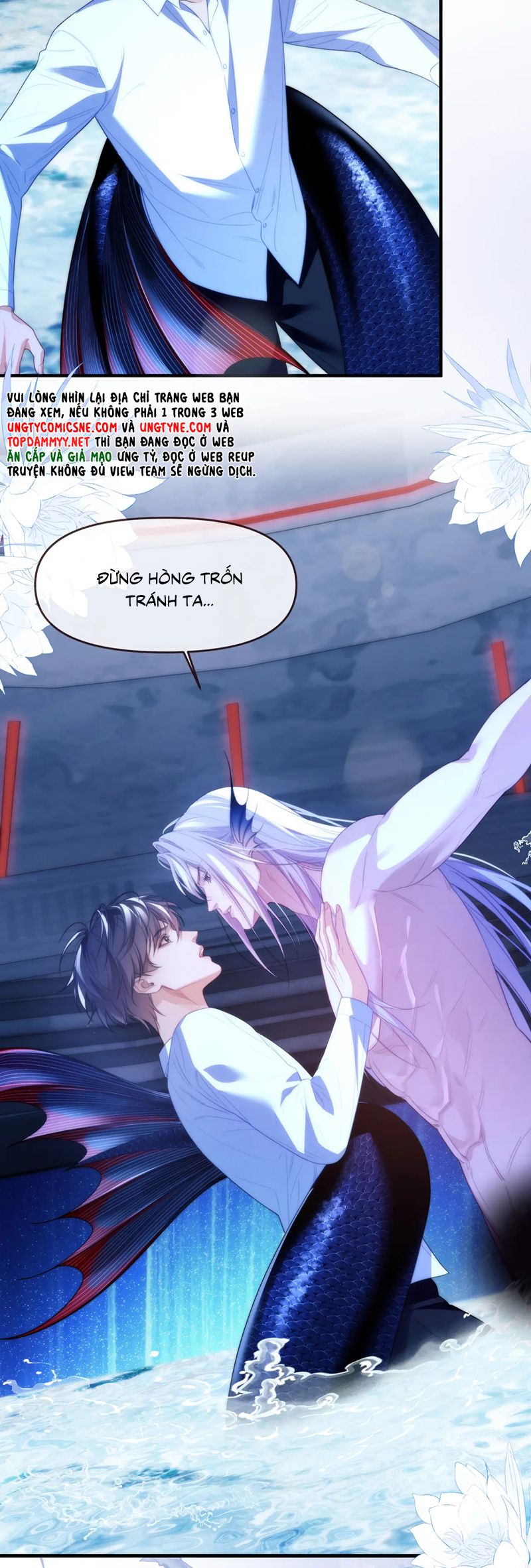 Desharow Nhân Ngư Chap 77 - Trang 2