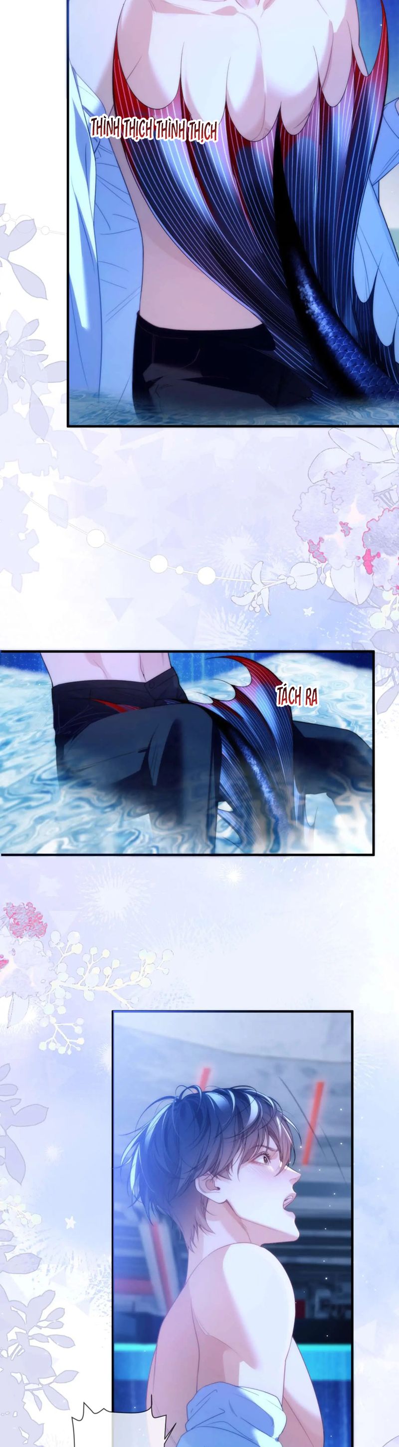 Desharow Nhân Ngư Chap 78 - Trang 2