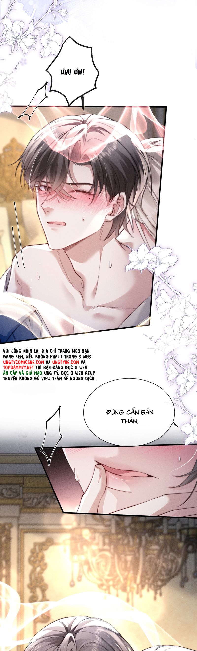 Kế Hoạch Tự Dưỡng Cuồng Khuyển Chap 52 - Trang 4