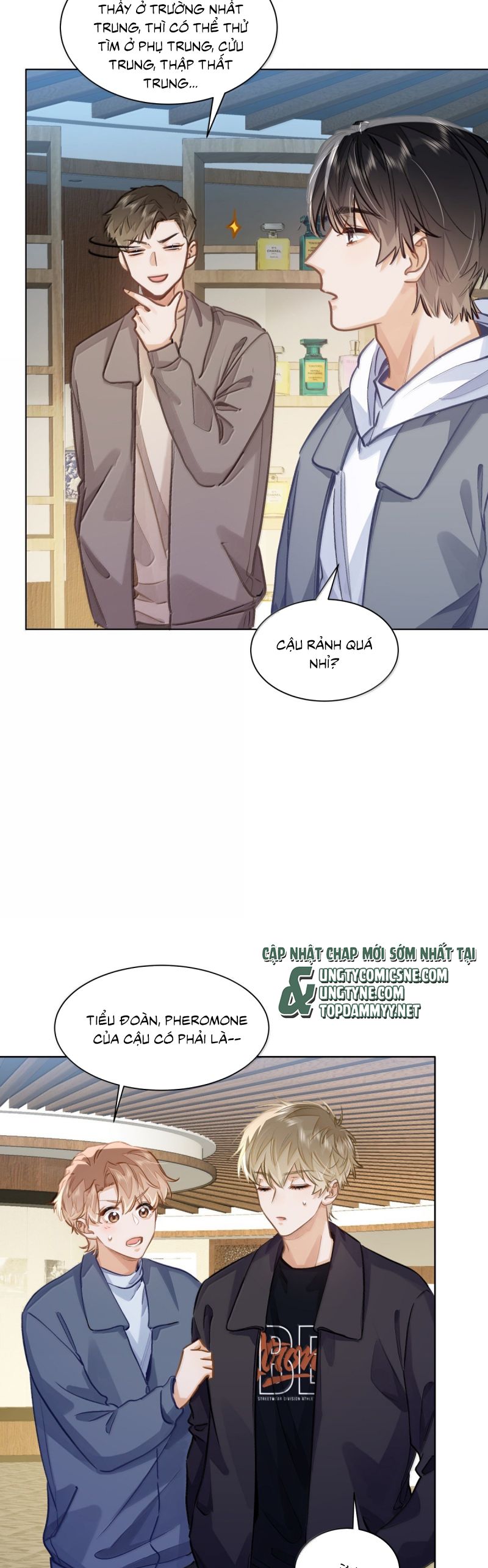 Tôi Thích Tin Tức Tố Của Cậu Chap 64 - Trang 4