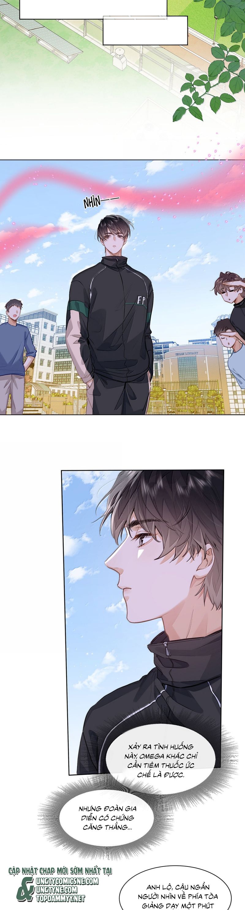 Tôi Thích Tin Tức Tố Của Cậu Chap 65 - Next Chap 66