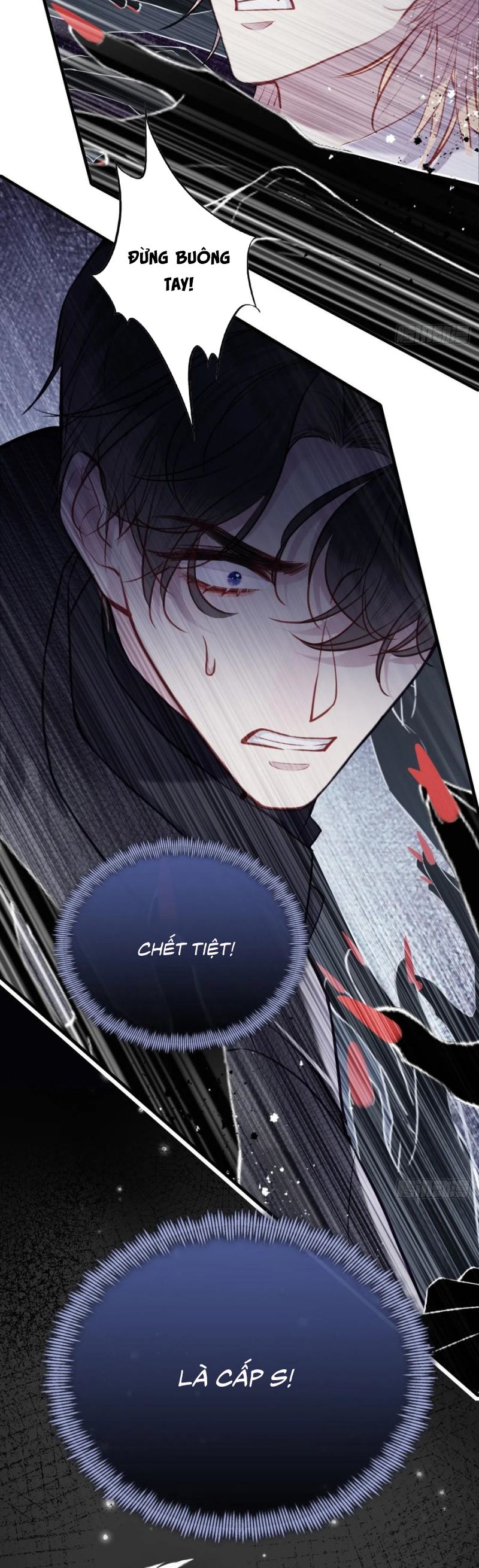 Anh Ấy Chưa Từng Rơi Xuống Chap 111 - Trang 4