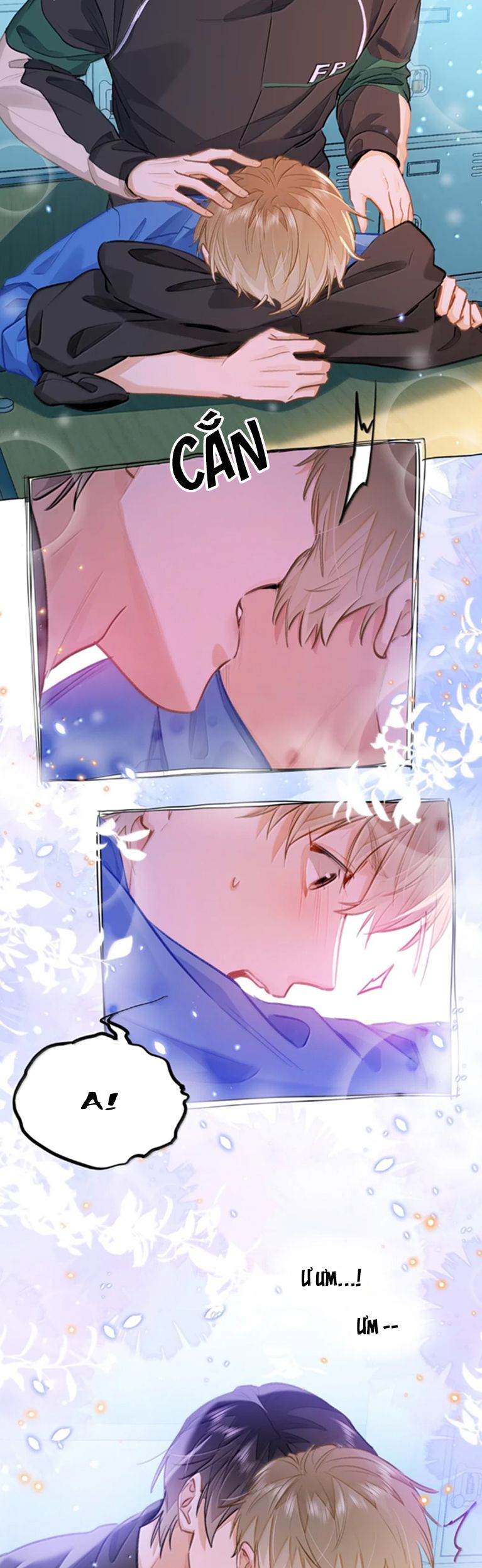 Tôi Thích Tin Tức Tố Của Cậu Chap 66 - Trang 2