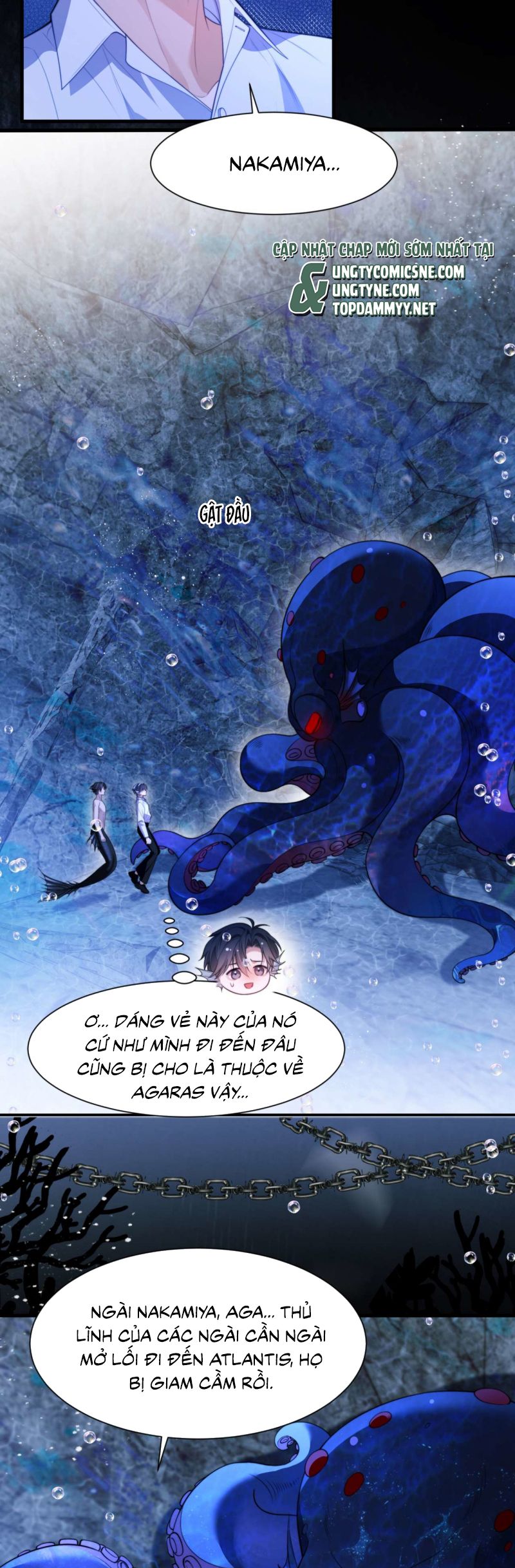 Desharow Nhân Ngư Chap 83 - Trang 4