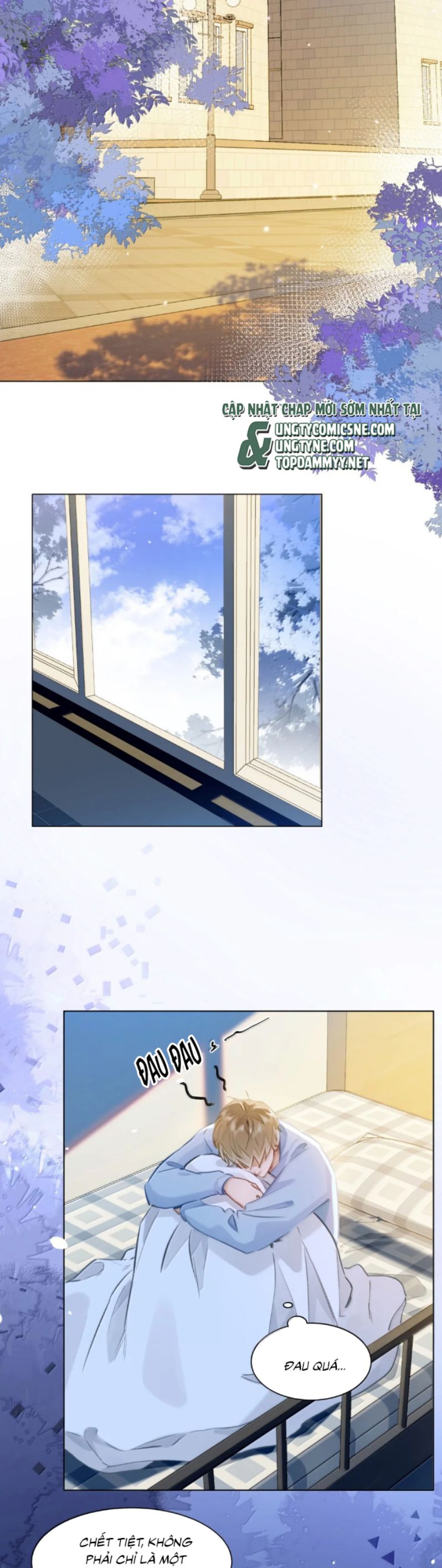 Tôi Thích Tin Tức Tố Của Cậu Chap 68 - Next Chap 69