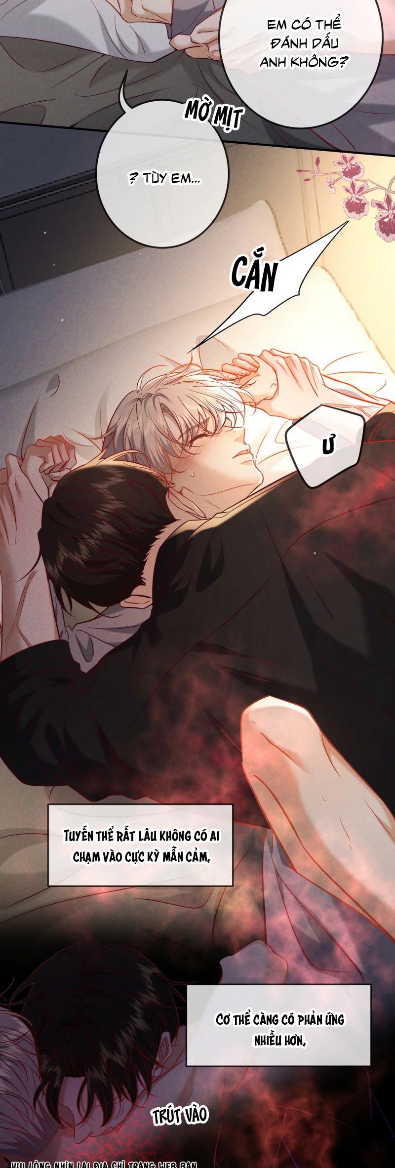 Đêm Tình Yêu Và Sát Ý Chap 65 - Trang 4