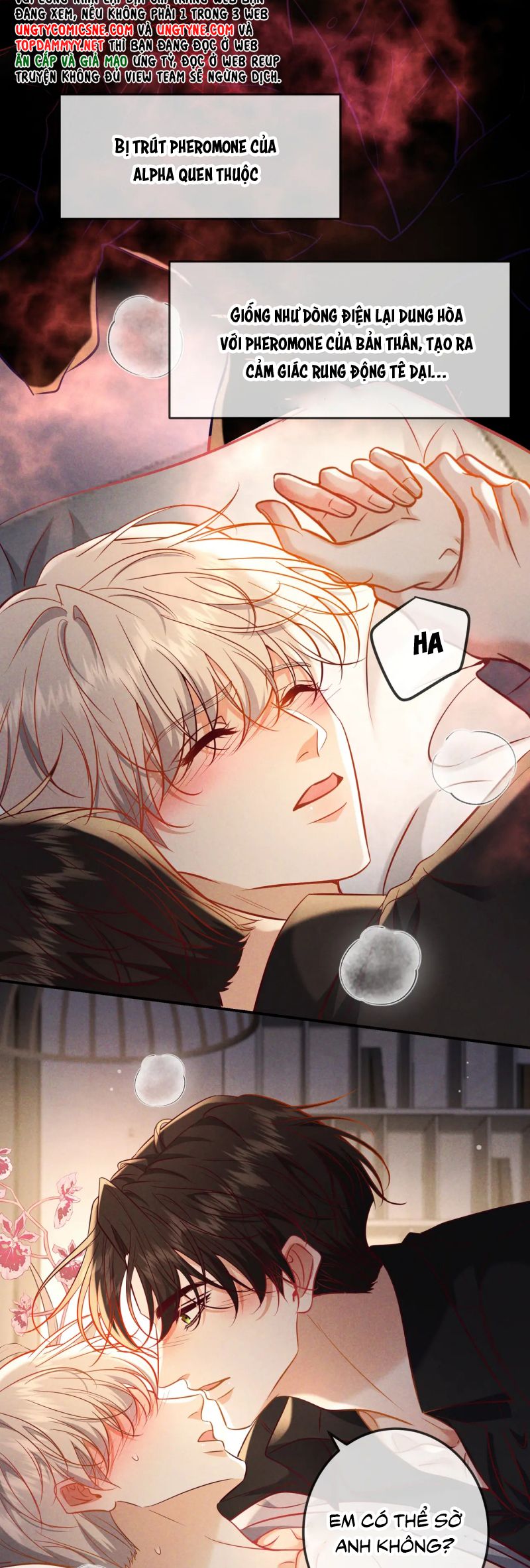 Đêm Tình Yêu Và Sát Ý Chap 65 - Trang 4