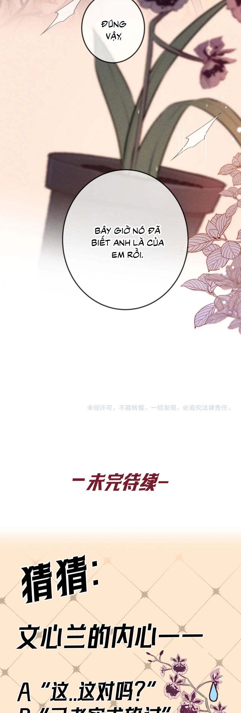 Đêm Tình Yêu Và Sát Ý Chap 65 - Trang 4