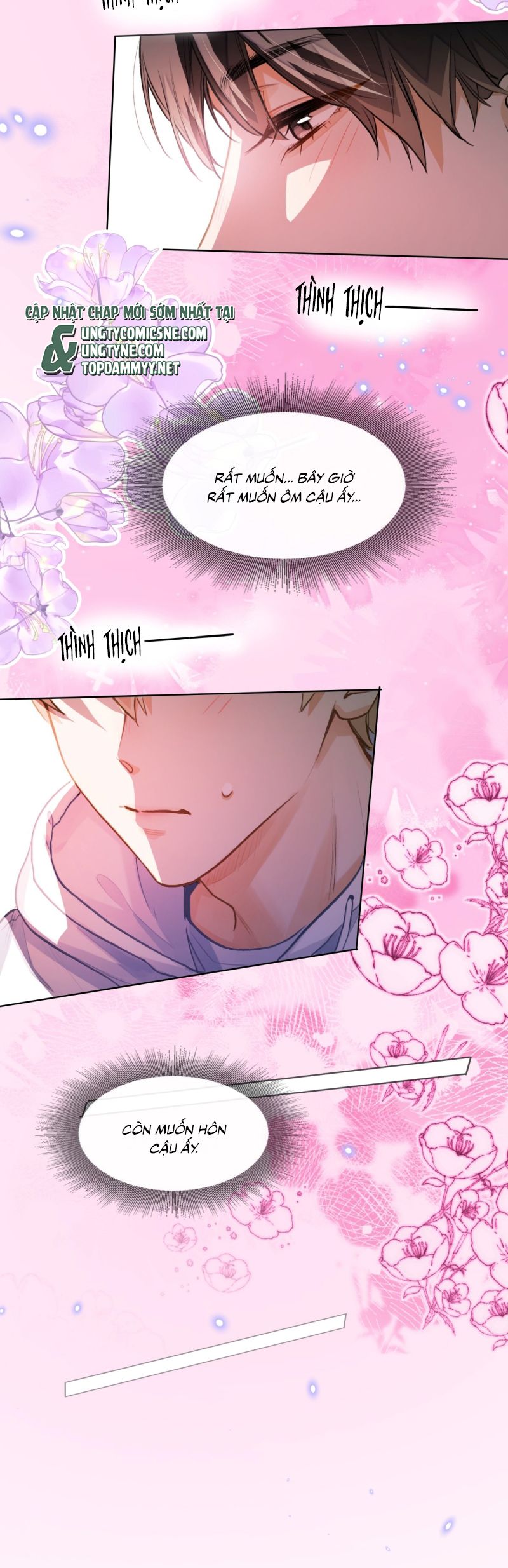 Tôi Thích Tin Tức Tố Của Cậu Chap 76 - Next Chap 77