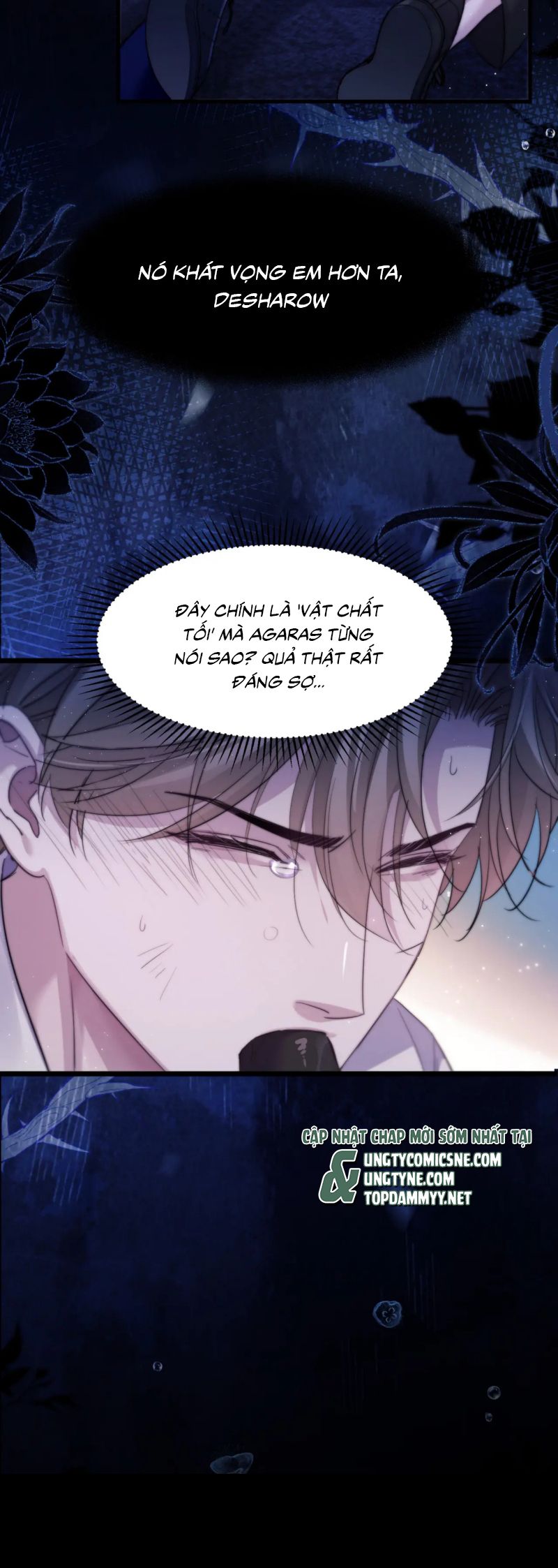 Desharow Nhân Ngư Chap 101 - Trang 4