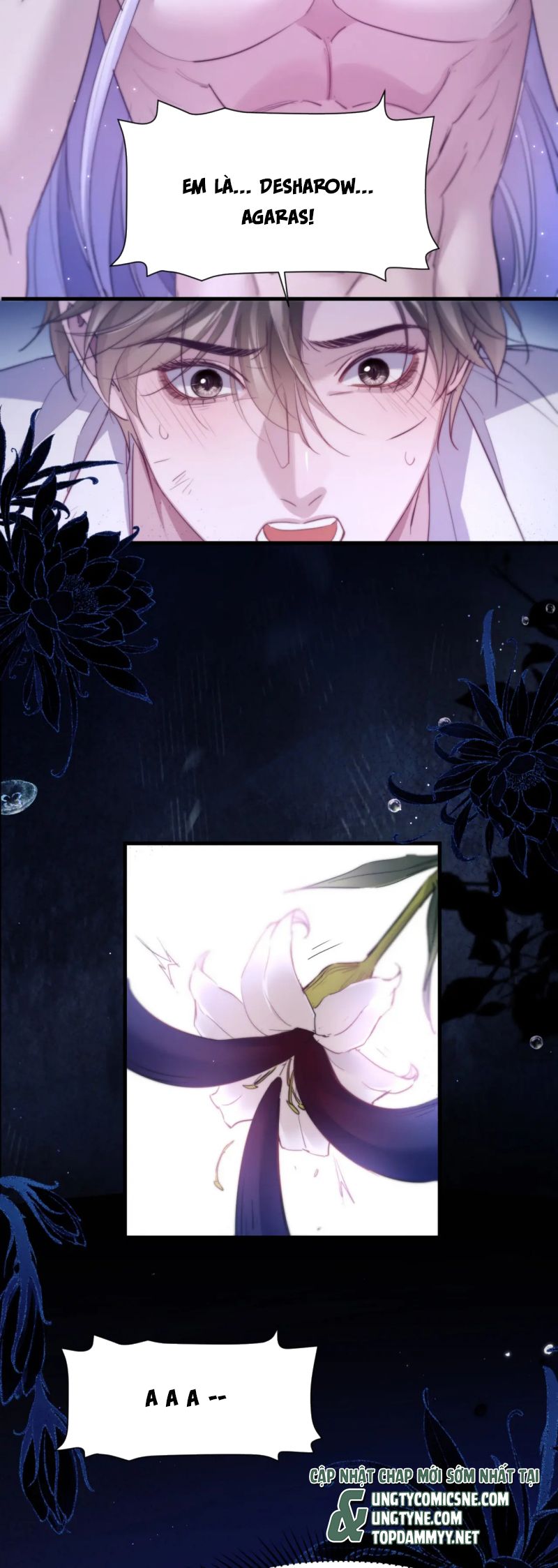 Desharow Nhân Ngư Chap 101 - Trang 4