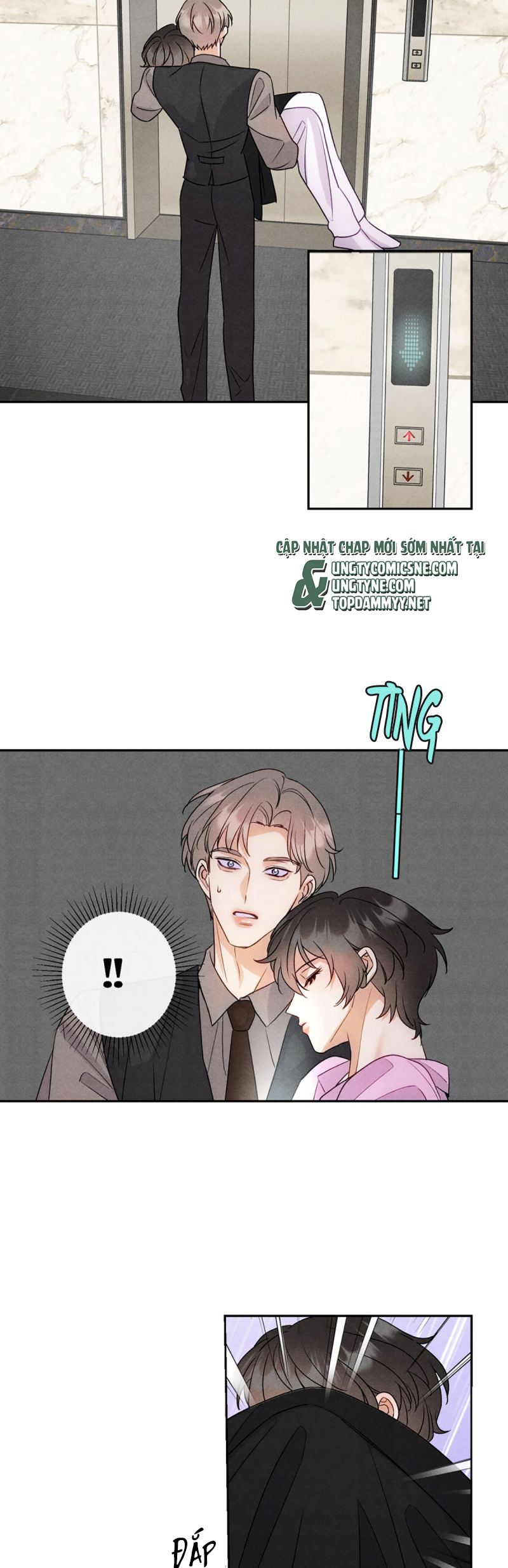 Xuyên Thành Con Ngỗng Vàng Của Đại Lão Alpha Chap 12 - Trang 2