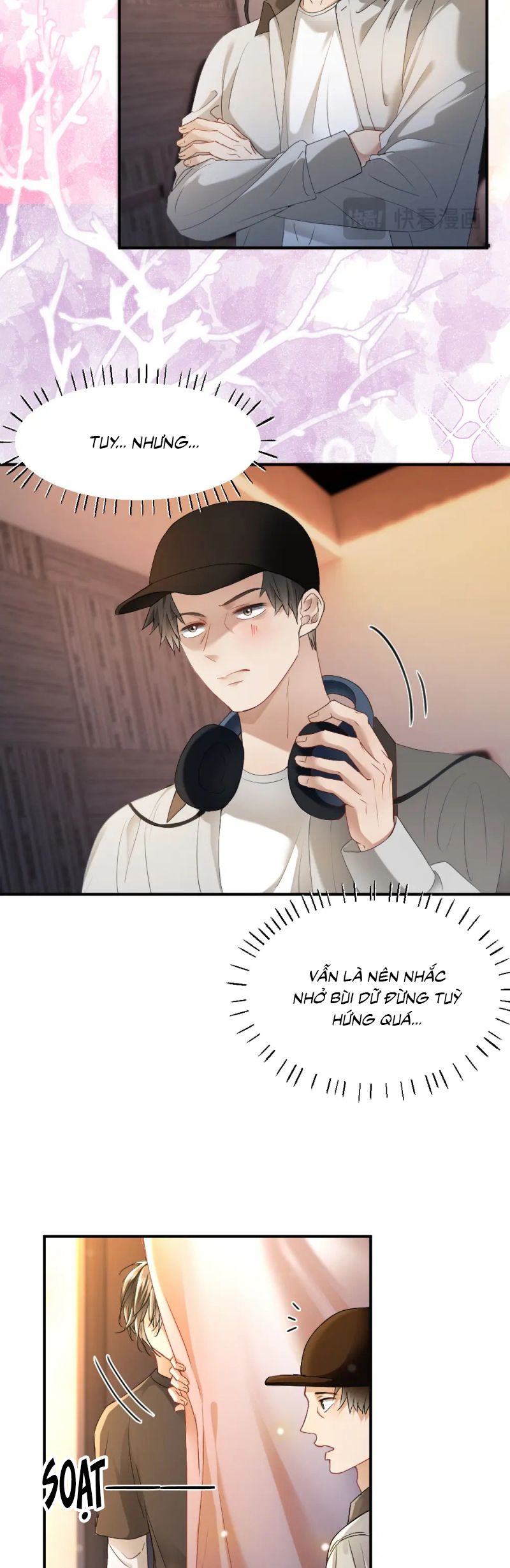 Tiểu Thiếu Gia Dựa Vào Mỹ Mạo Hoành Hành Toàn Hệ Thống Chap 86 - Trang 4