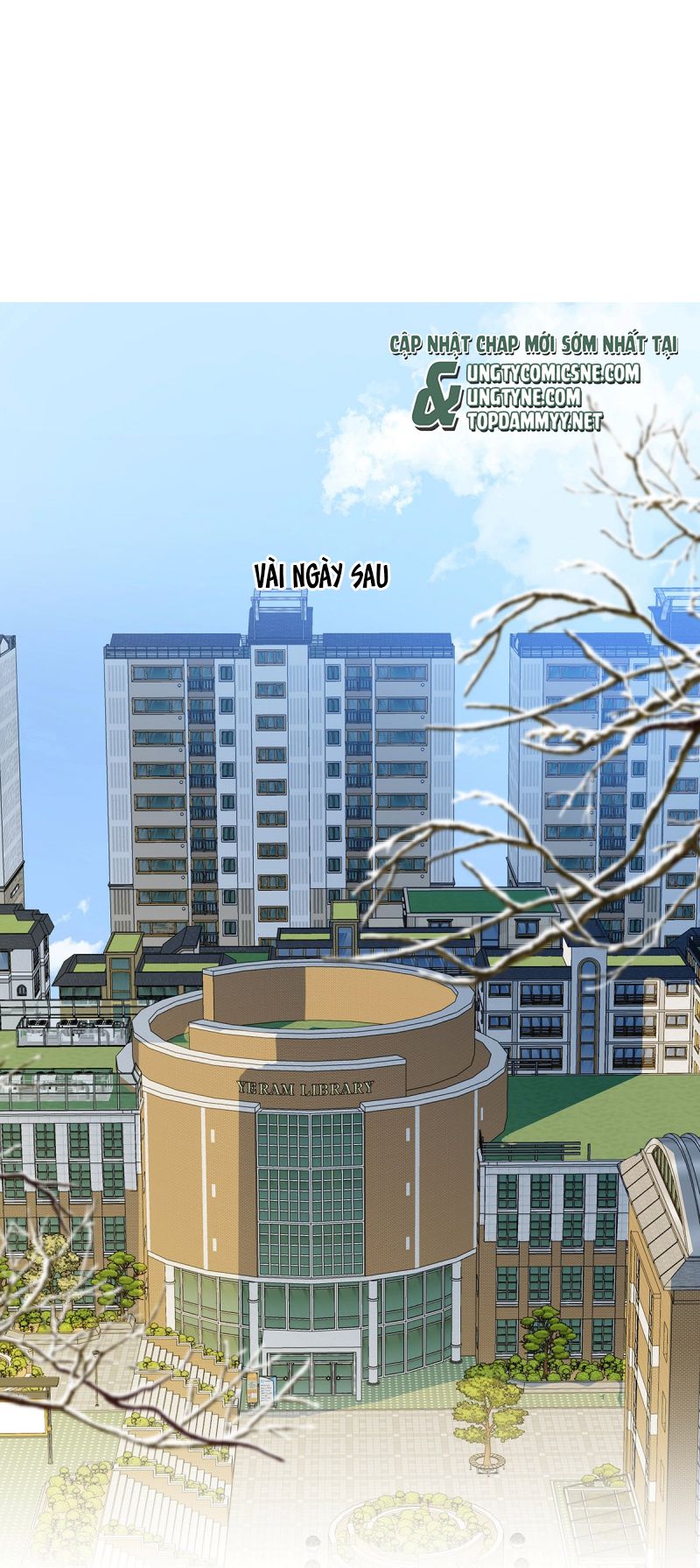 Tôi Thích Tin Tức Tố Của Cậu Chap 81 - Trang 4