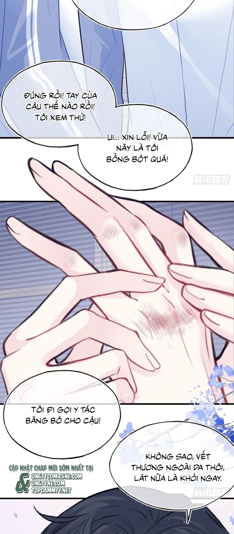 Anh Ấy Chưa Từng Rơi Xuống Chap 132 - Trang 3