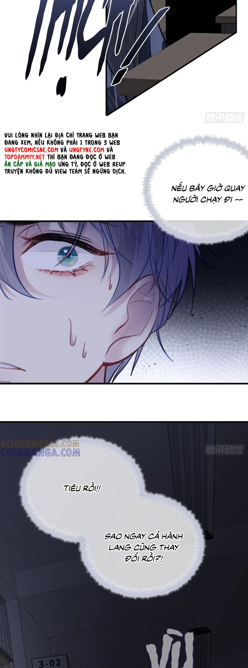 Anh Ấy Chưa Từng Rơi Xuống Chap 133 - Trang 3