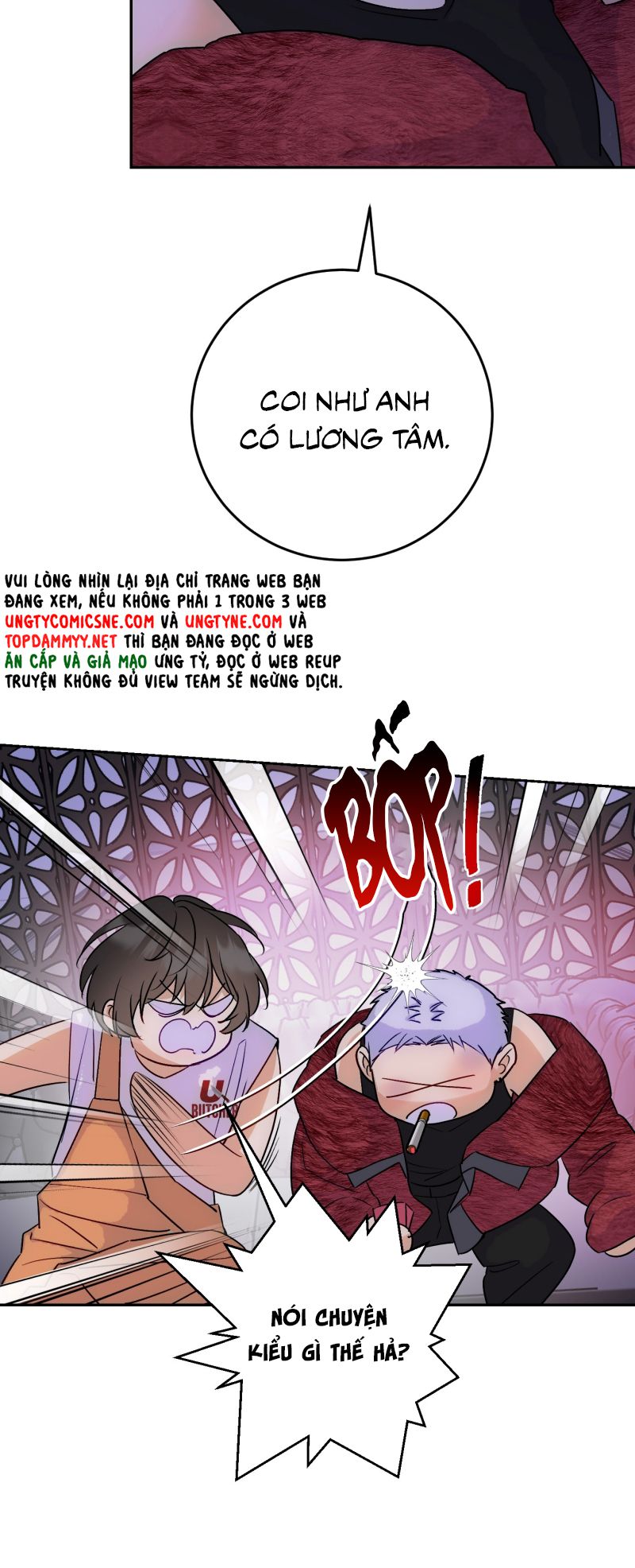 Xuyên Thành Con Ngỗng Vàng Của Đại Lão Alpha Chap 17 - Trang 2