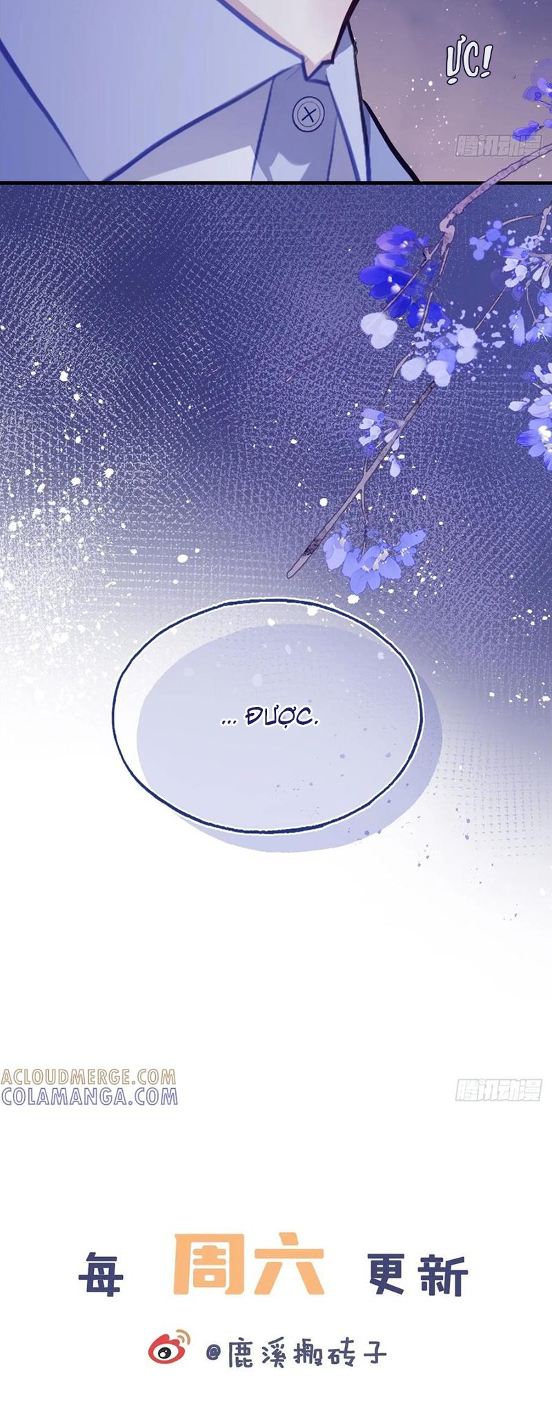 Anh Ấy Chưa Từng Rơi Xuống Chap 135 - Trang 3