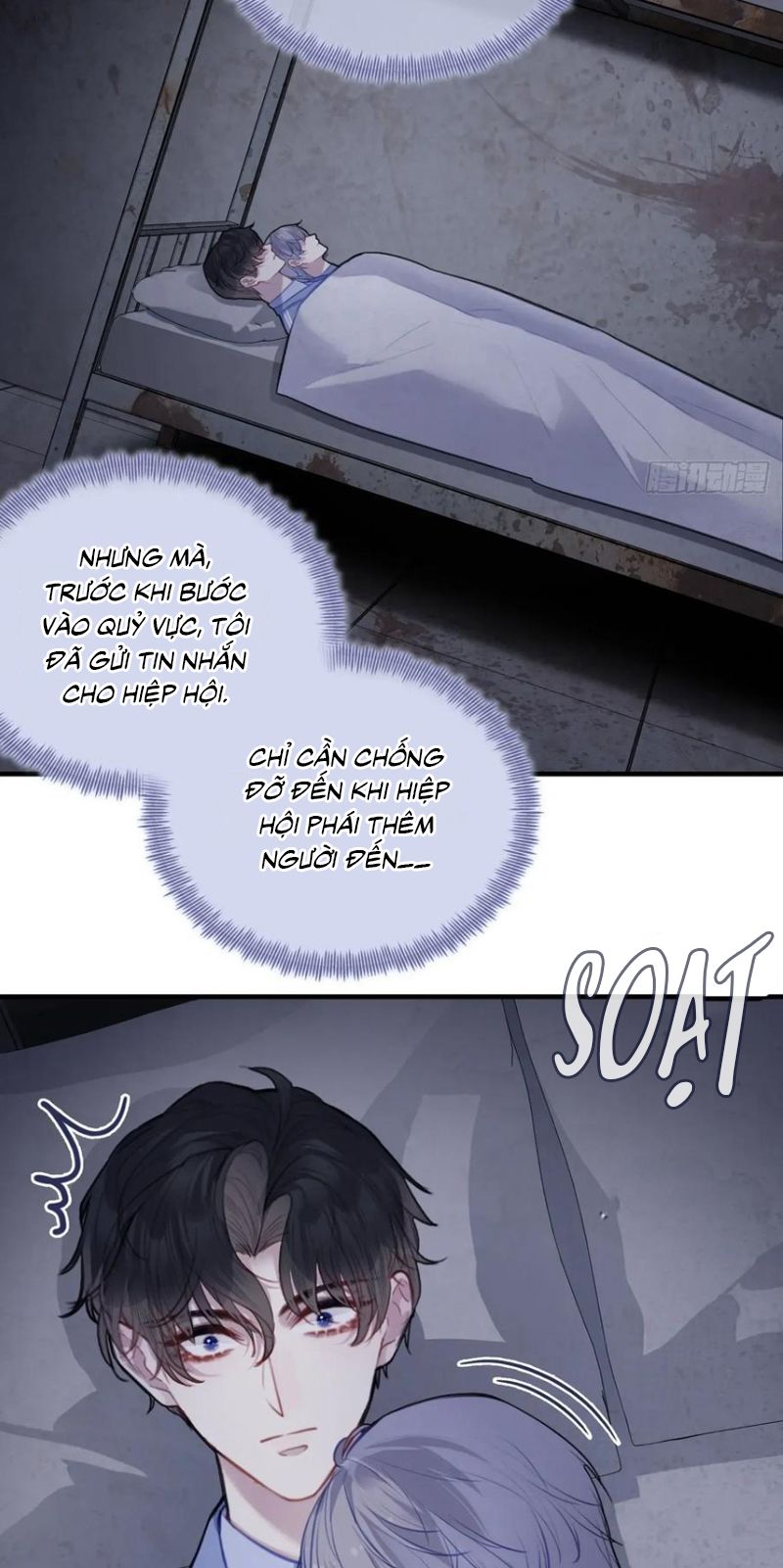 Anh Ấy Chưa Từng Rơi Xuống Chap 136 - Trang 3