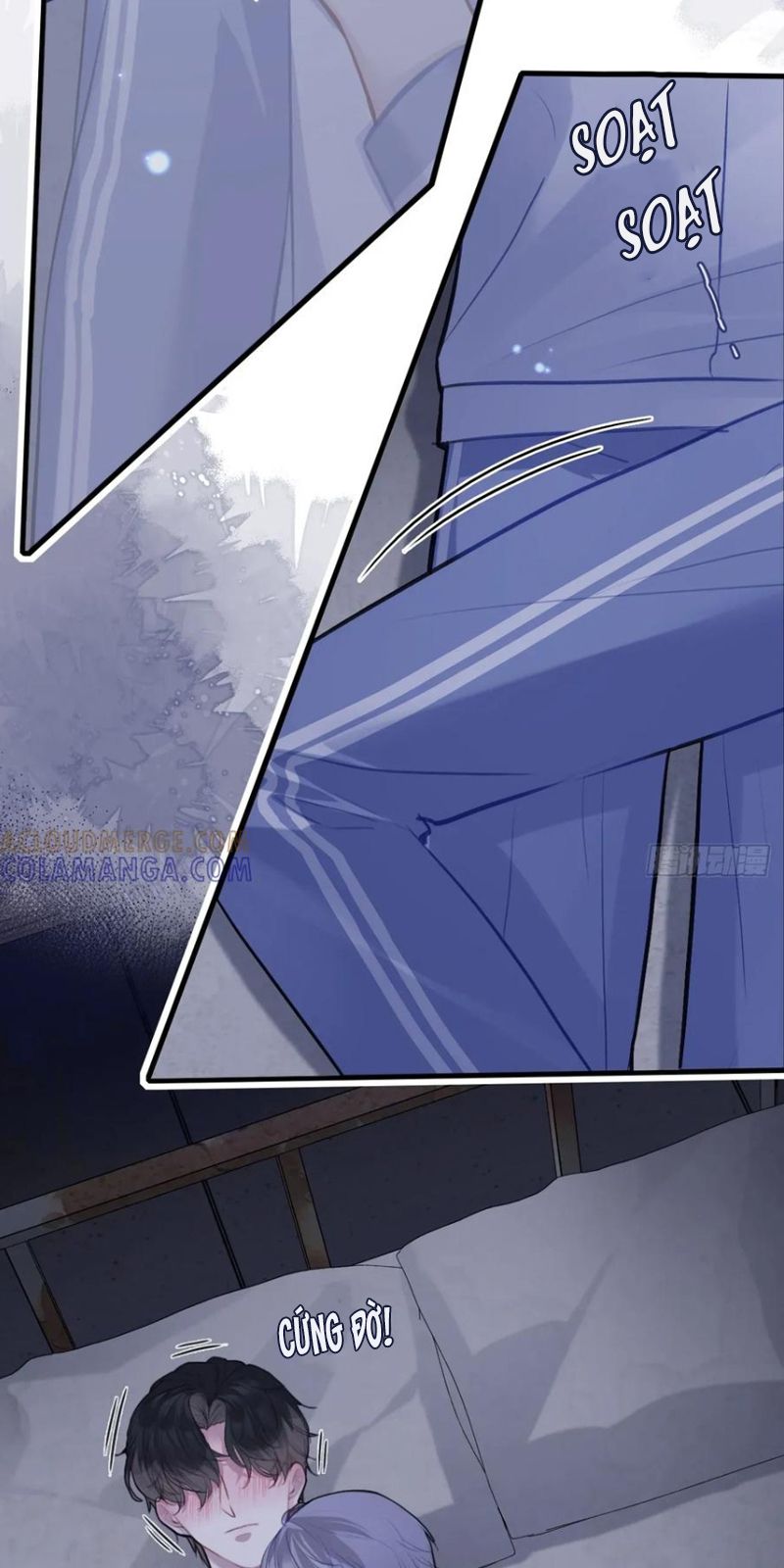 Anh Ấy Chưa Từng Rơi Xuống Chap 136 - Trang 3