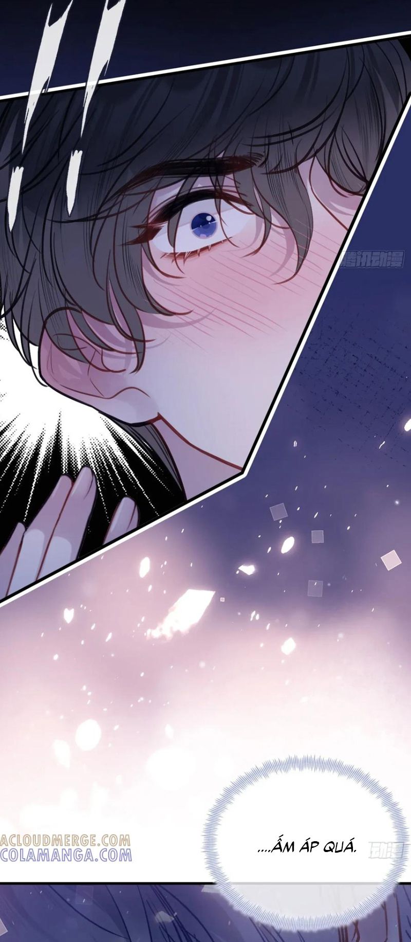 Anh Ấy Chưa Từng Rơi Xuống Chap 136 - Trang 3