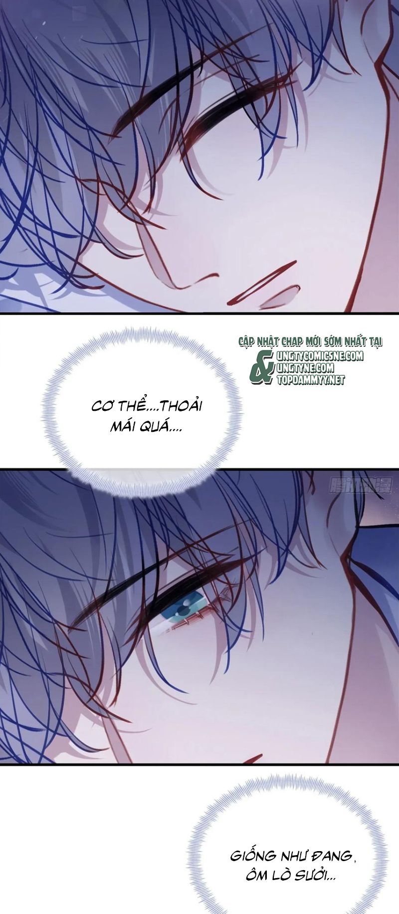 Anh Ấy Chưa Từng Rơi Xuống Chap 136 - Trang 3