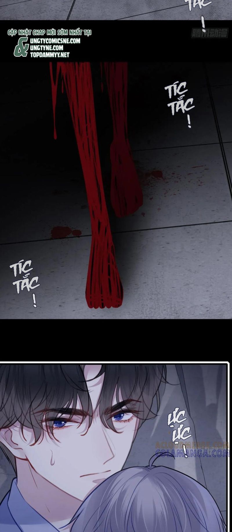 Anh Ấy Chưa Từng Rơi Xuống Chap 136 - Trang 3