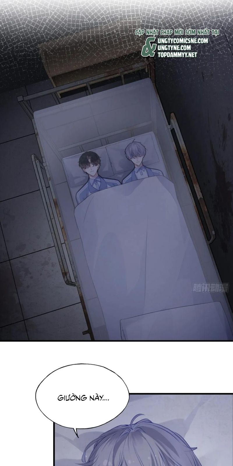 Anh Ấy Chưa Từng Rơi Xuống Chap 136 - Trang 3