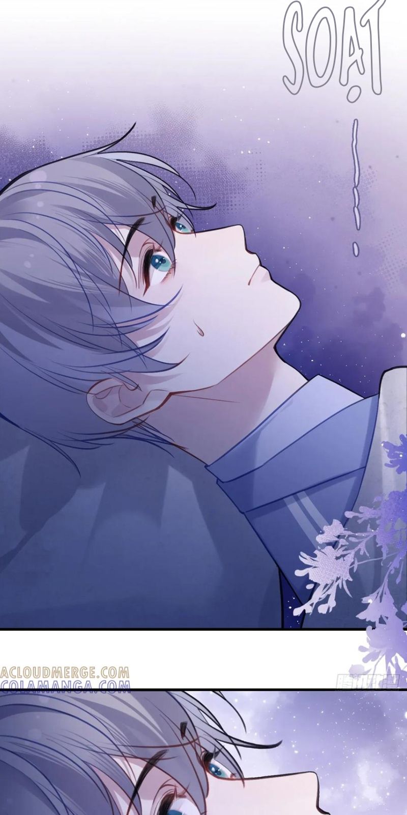 Anh Ấy Chưa Từng Rơi Xuống Chap 136 - Trang 3