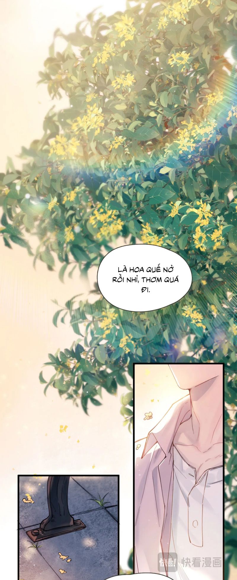 Tinh Vệ Chap 37 - Trang 4