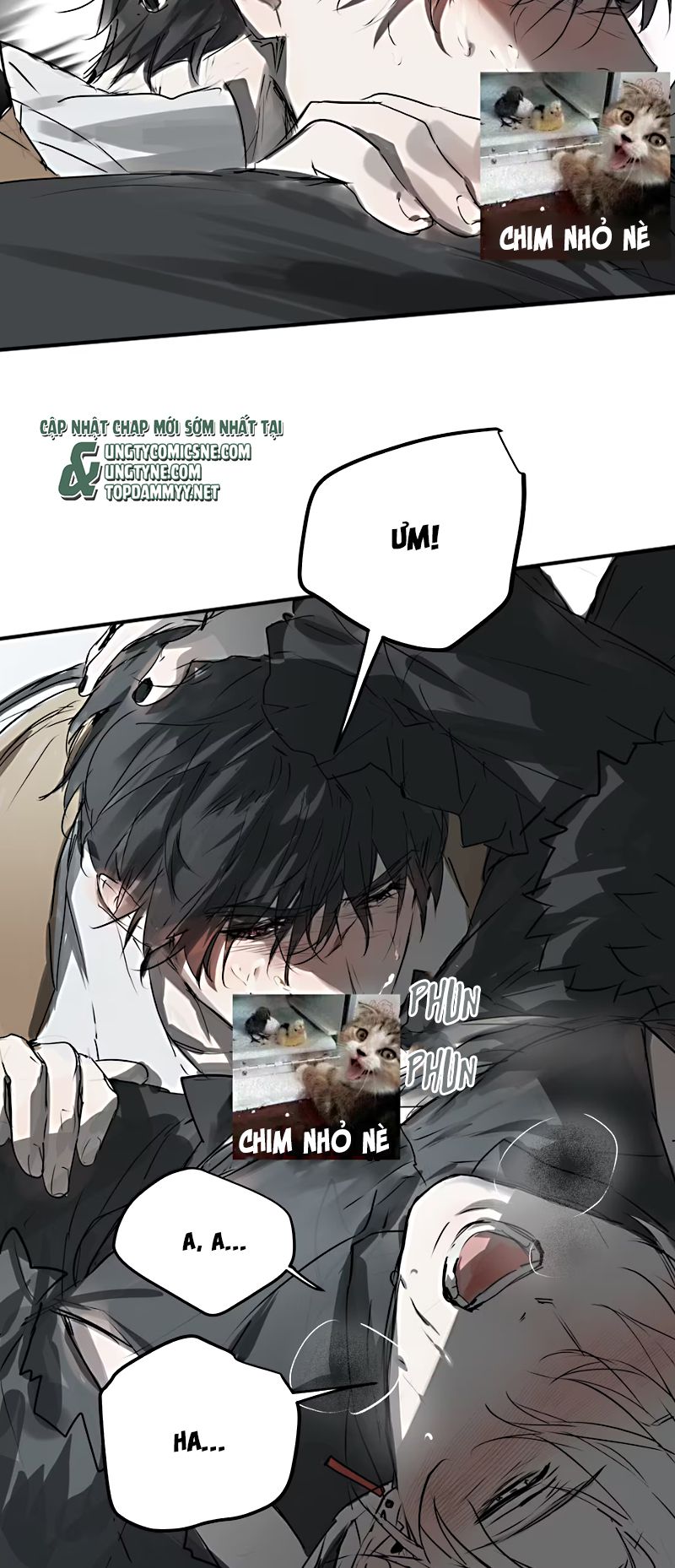 Bị Chó Điên Phát Hiện Tôi Là Đồng Loại Chap 7 - Trang 3