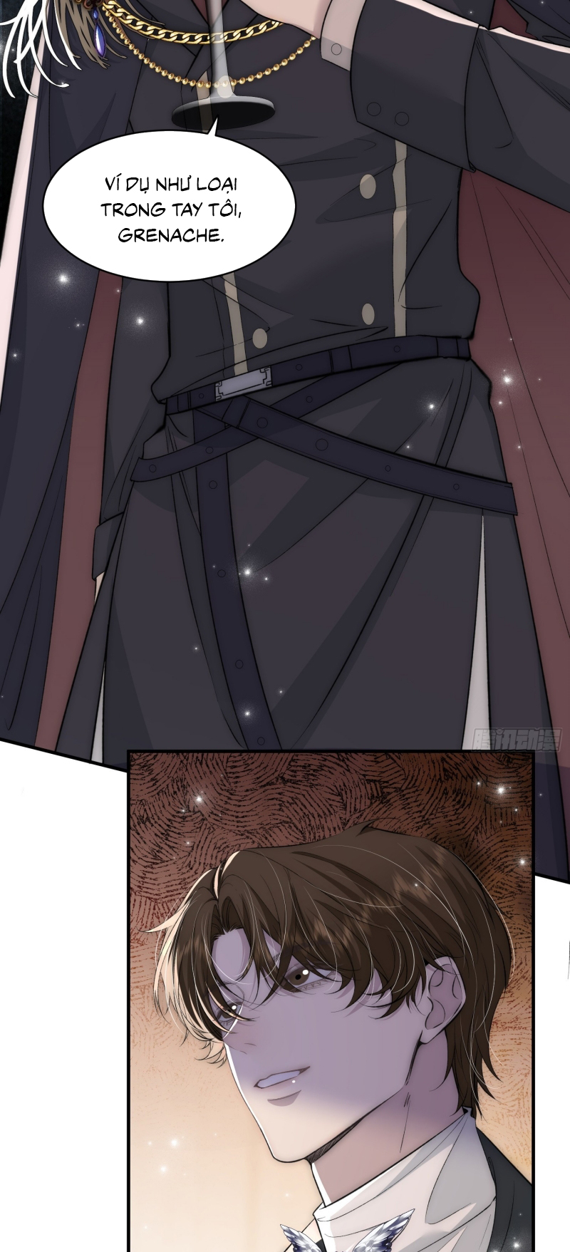 Đồng Phạm Hoàn Hảo Chap 12 - Trang 2