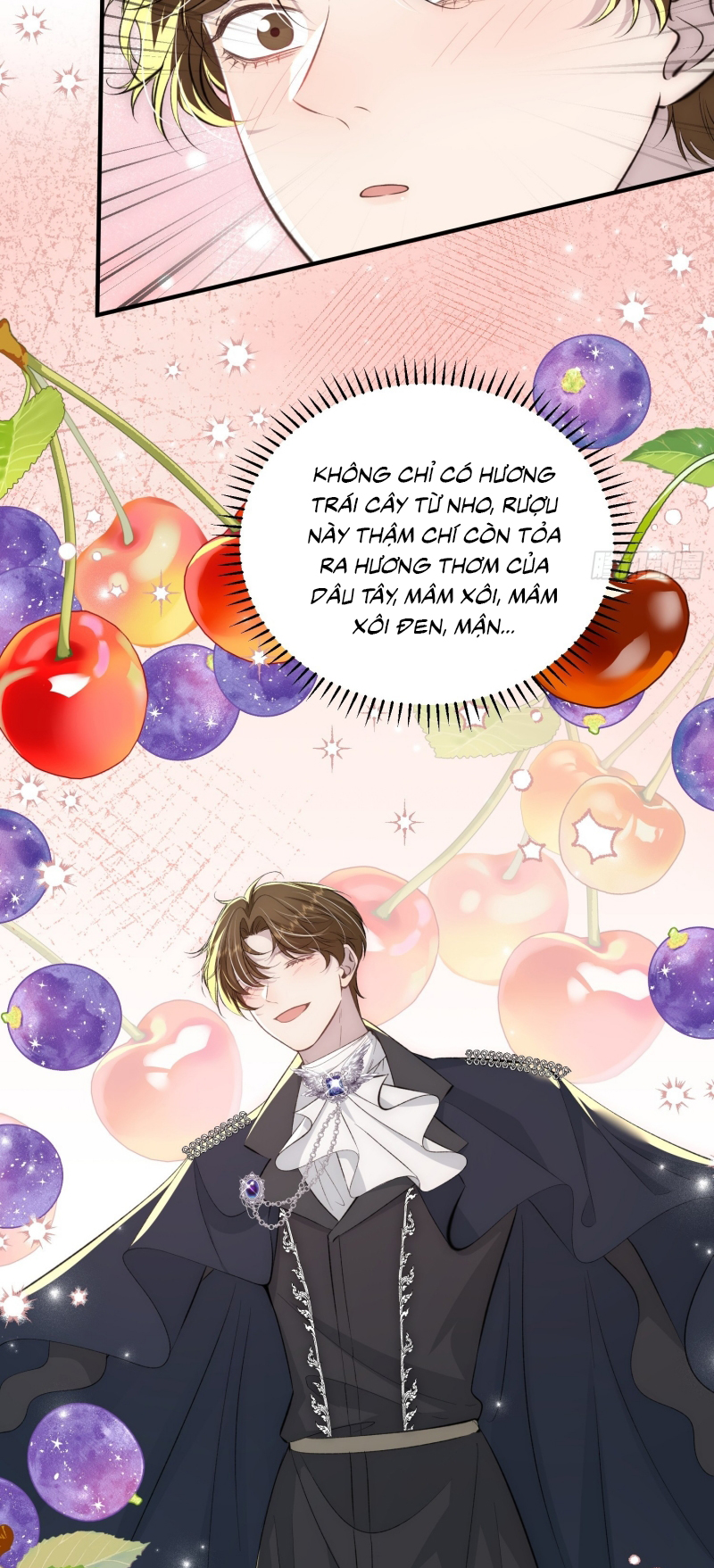 Đồng Phạm Hoàn Hảo Chap 12 - Trang 2