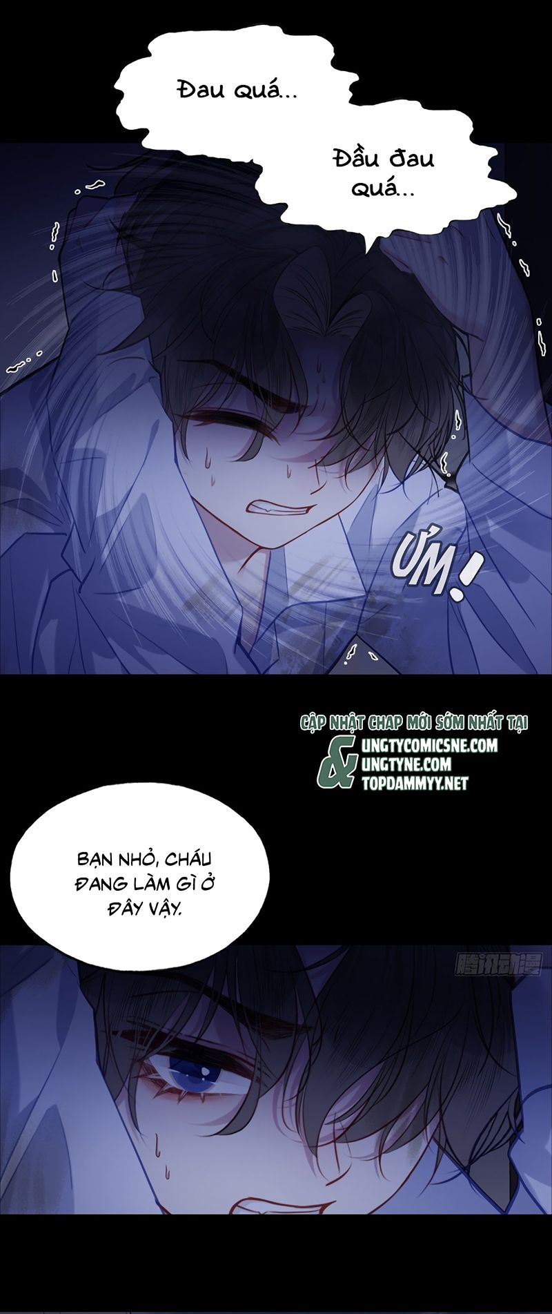 Anh Ấy Chưa Từng Rơi Xuống Chap 140 - Trang 2