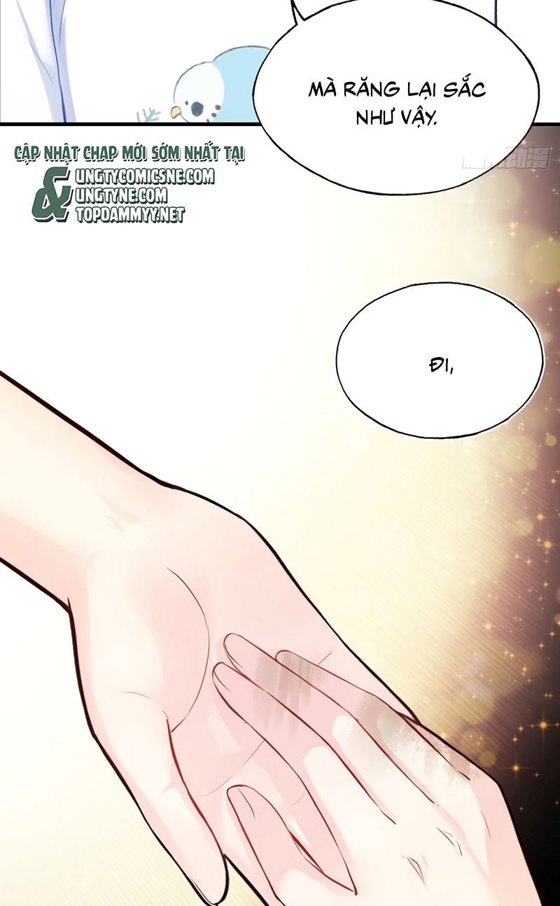 Anh Ấy Chưa Từng Rơi Xuống Chap 140 - Trang 2
