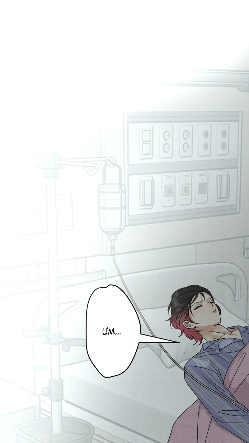 Xuyên Thành Con Ngỗng Vàng Của Đại Lão Alpha Chap 23 - Trang 2