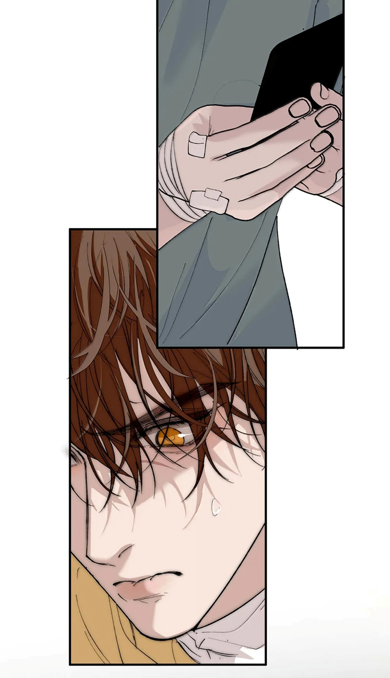 Mỗi Ngày Đều Muốn Làm Bệnh Kiều Vương Tử Xấu hổ Muốn Độn Thổ Chap 39 - Trang 3