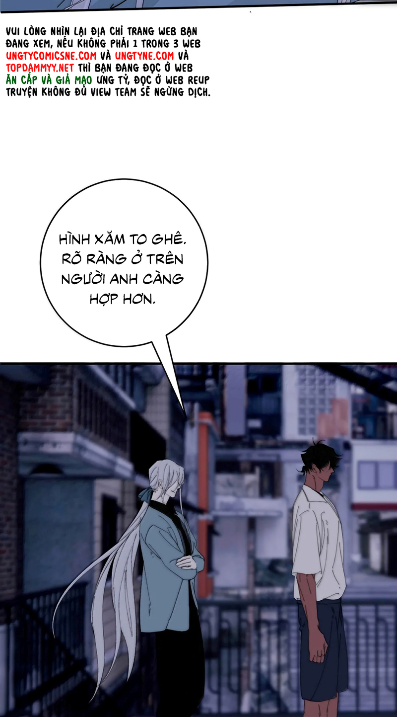 Mỗi Ngày Đều Muốn Làm Bệnh Kiều Vương Tử Xấu hổ Muốn Độn Thổ Chap 39 - Trang 3