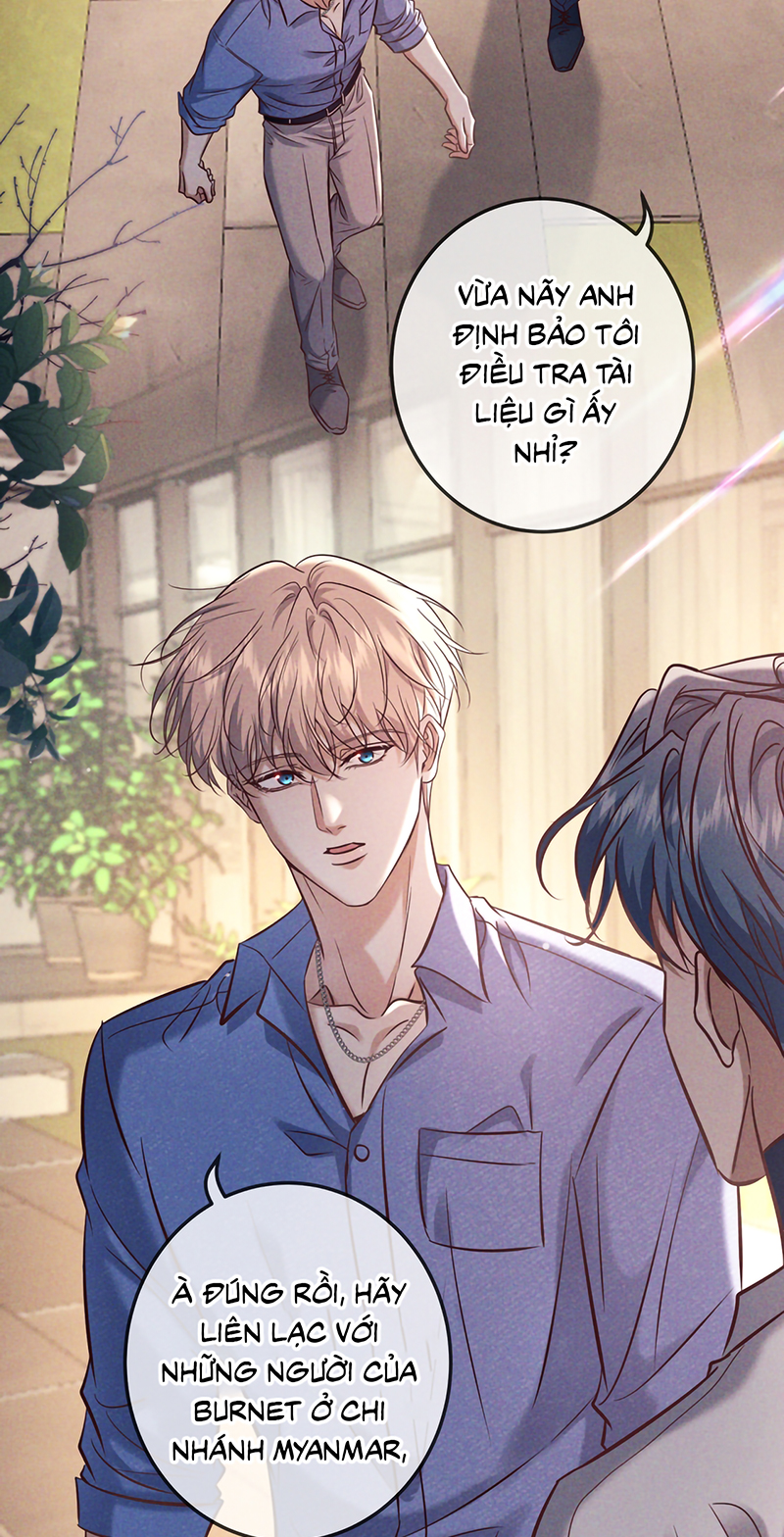 Đêm Tình Yêu Và Sát Ý Chap 84 - Trang 3