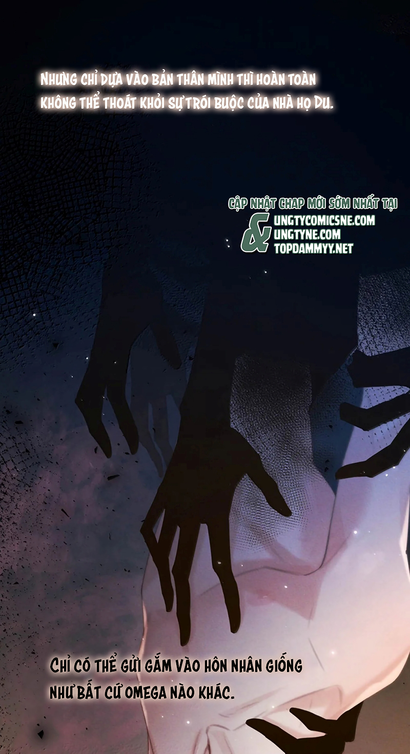 Nồng Đậm Tin Tức Tố Chapter 40 - Next Chapter 41