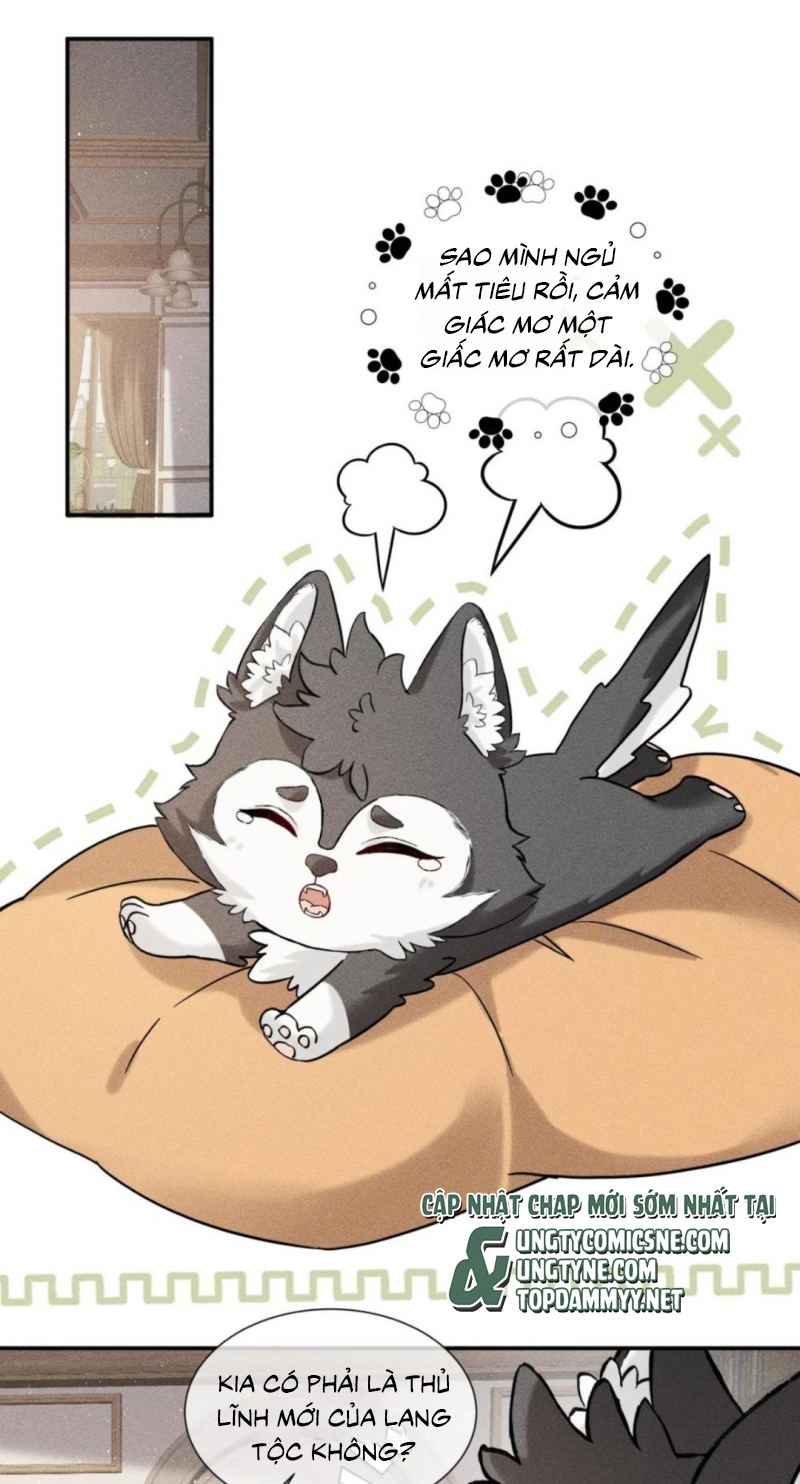 Nhận Kẻ Địch Làm Cha Chap 21 - Trang 2