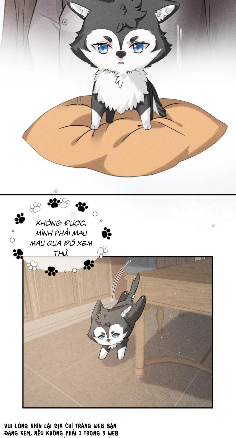 Nhận Kẻ Địch Làm Cha Chap 21 - Trang 2