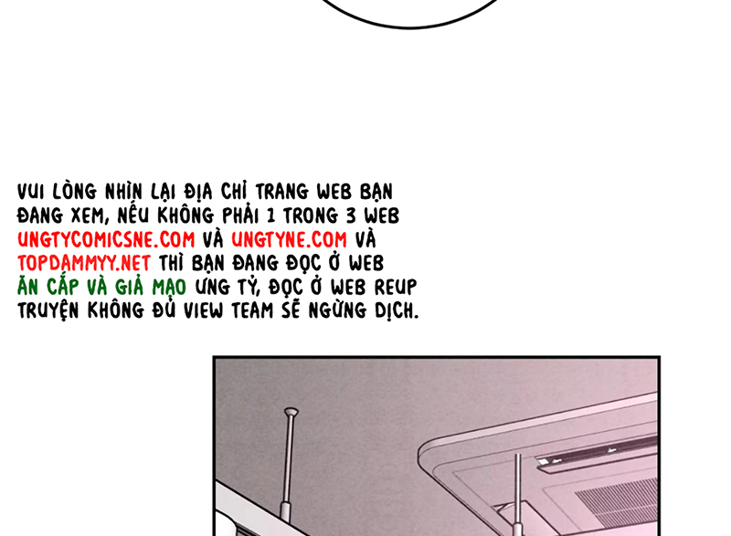 Xuyên Thành Con Ngỗng Vàng Của Đại Lão Alpha Chap 24 - Trang 2