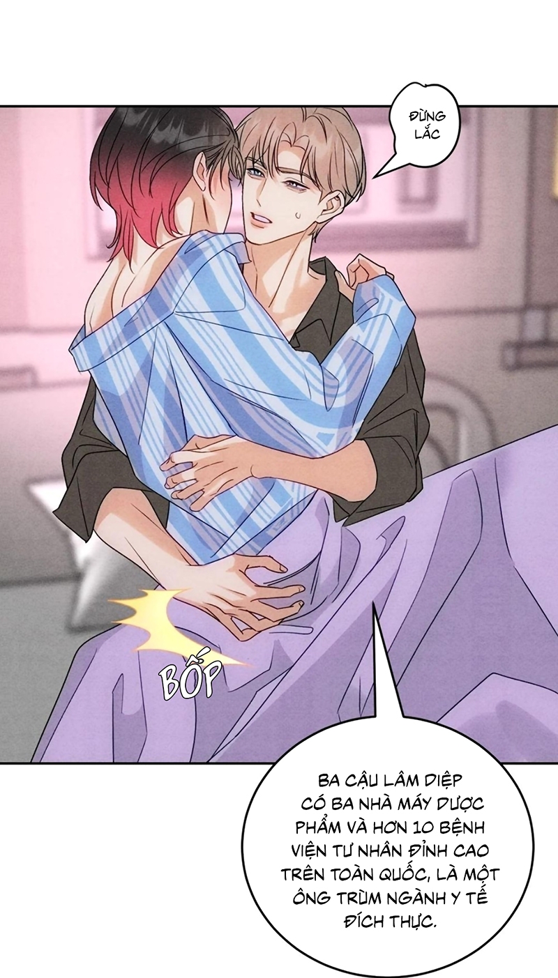 Xuyên Thành Con Ngỗng Vàng Của Đại Lão Alpha Chap 24 - Trang 2