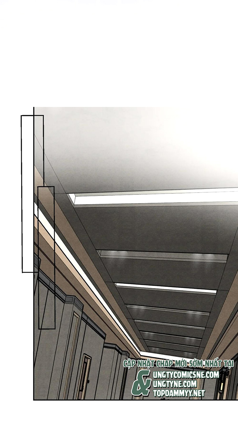 Xuyên Thành Con Ngỗng Vàng Của Đại Lão Alpha Chap 24 - Trang 2