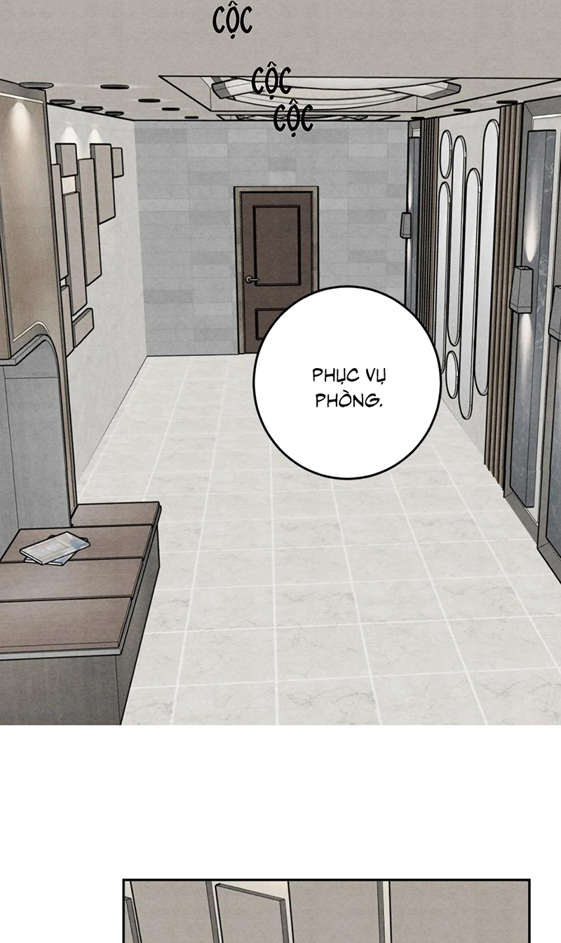 Xuyên Thành Con Ngỗng Vàng Của Đại Lão Alpha Chap 24 - Trang 2