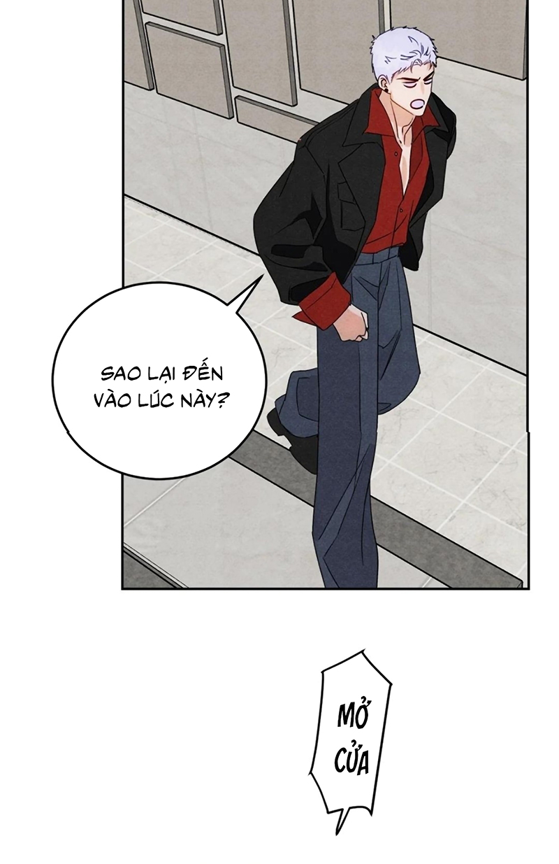 Xuyên Thành Con Ngỗng Vàng Của Đại Lão Alpha Chap 24 - Trang 2