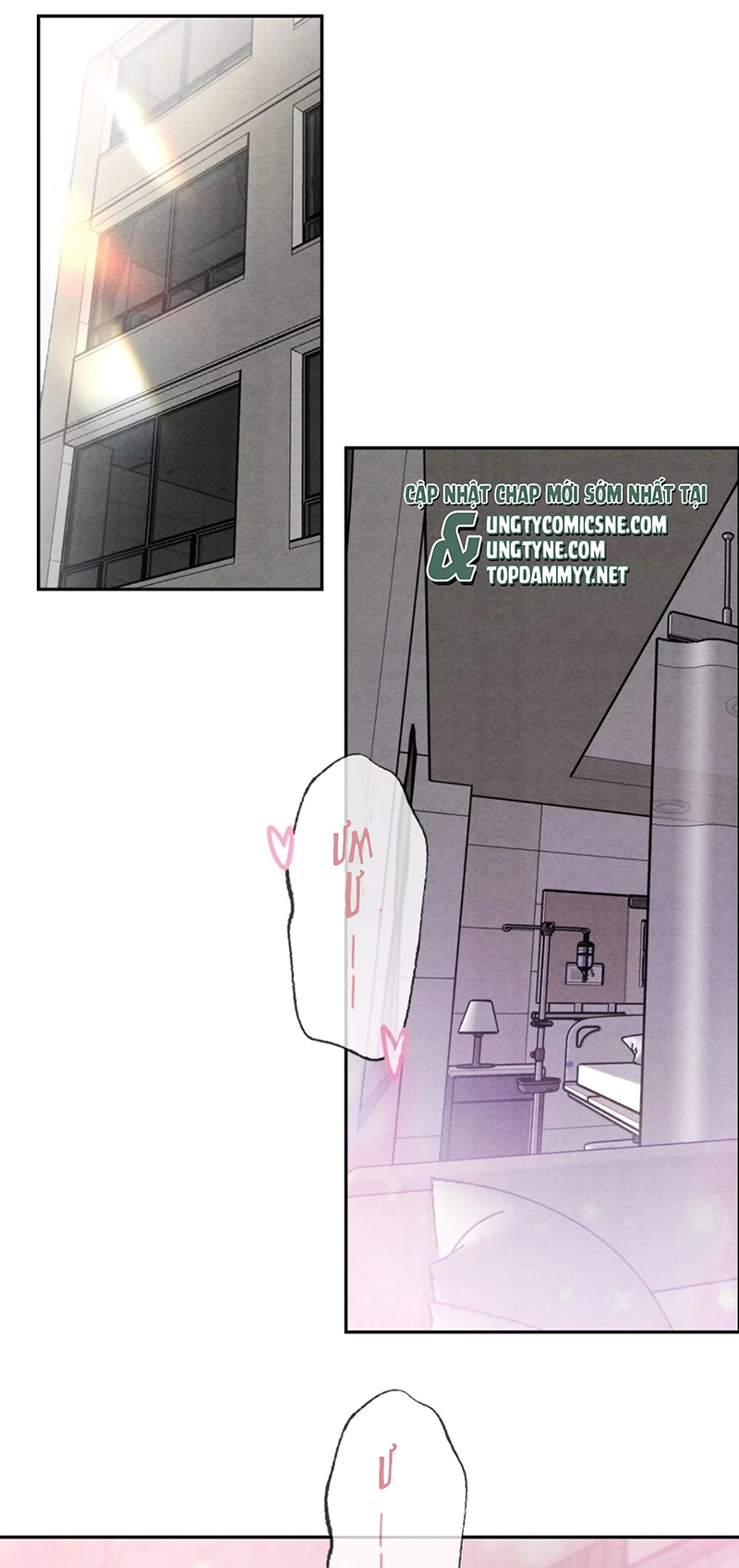 Xuyên Thành Con Ngỗng Vàng Của Đại Lão Alpha Chap 24 - Trang 2